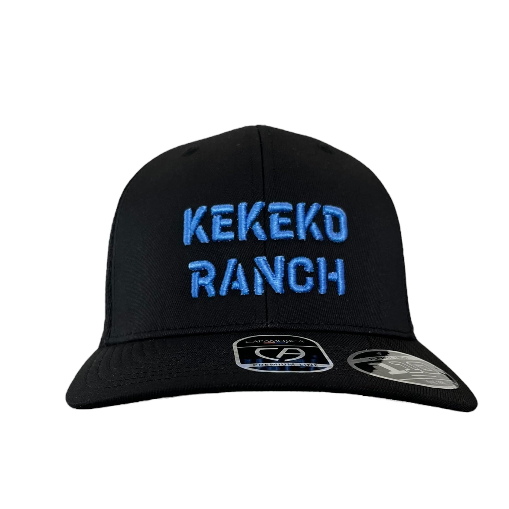 Casquette Flexfit 110M